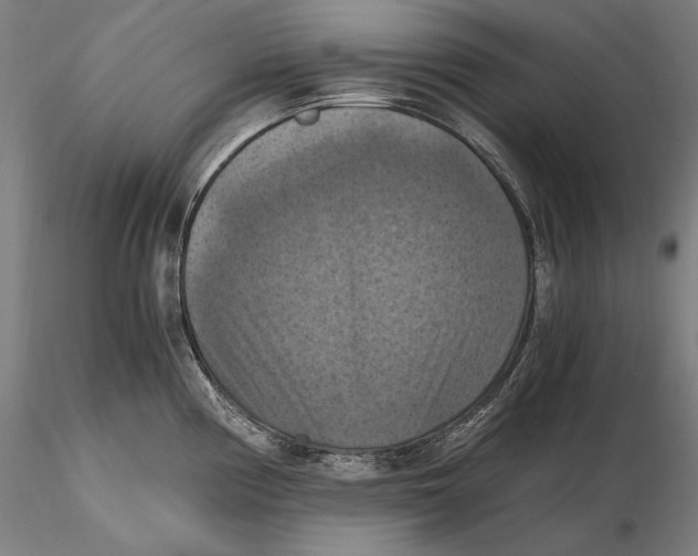 X0000115411194200912011333