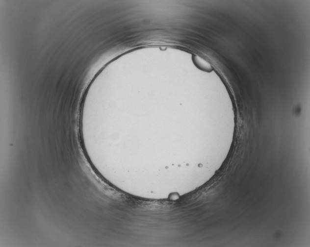 X0000115411195200912011333