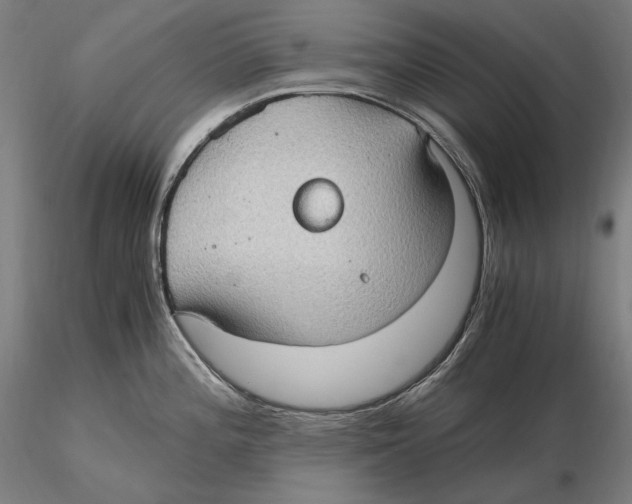 X0000115411196200912011333