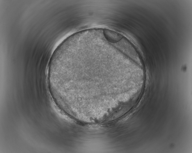 X0000115411198200912011333