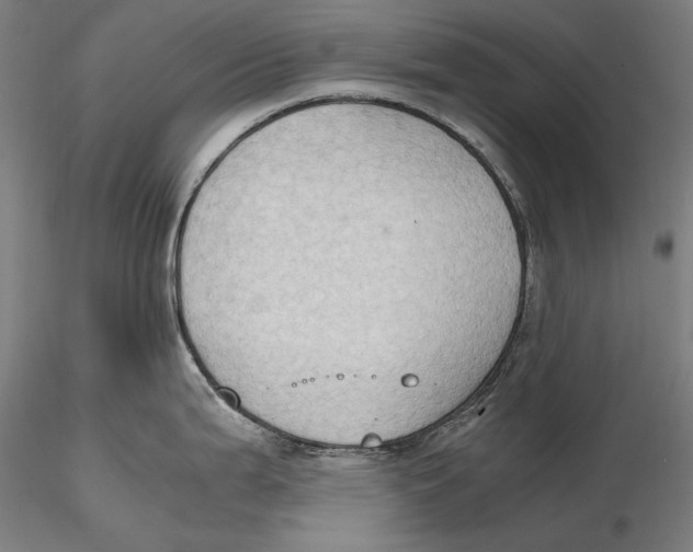 X0000115411199200912011333