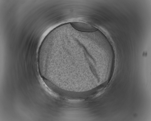 X0000115411200200912011333