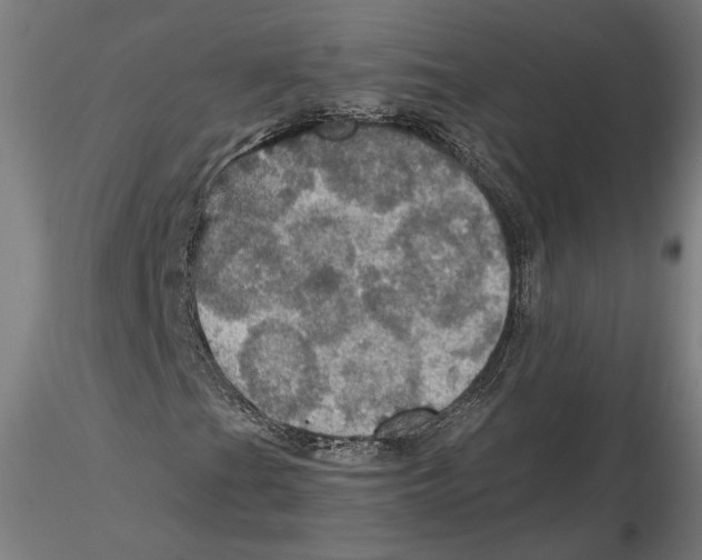 X0000115411201200912011332