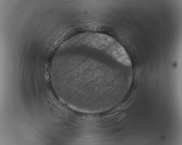 X0000115411202200912011332