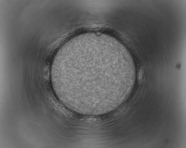 X0000115411204200912011332