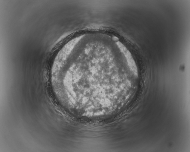 X0000115411206200912011332