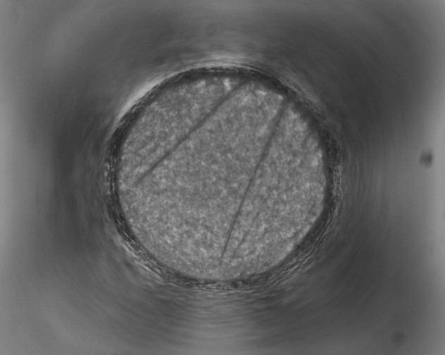 X0000115411208200912011332