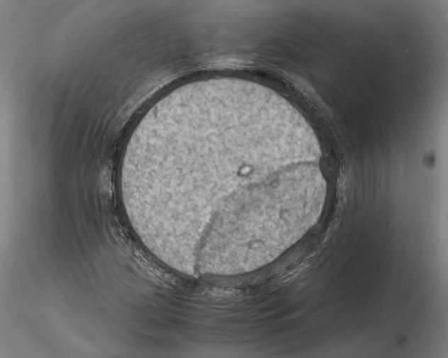 X0000115411209200912011332