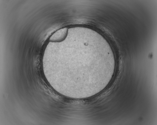 X0000115411210200912011332