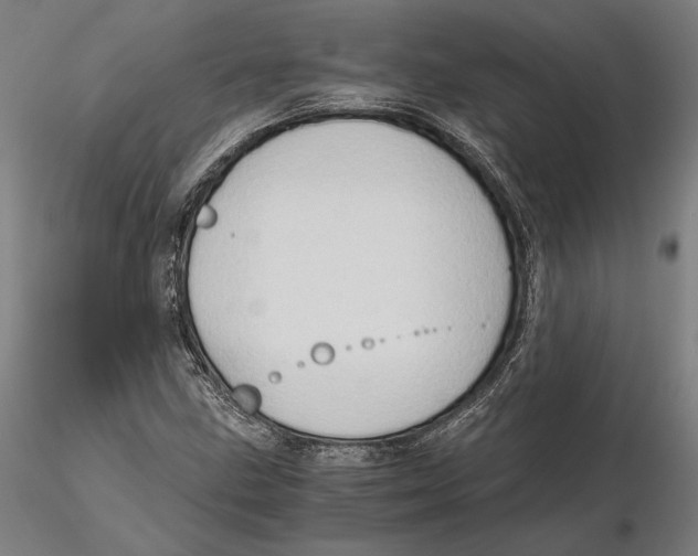 X0000115411211200912011332