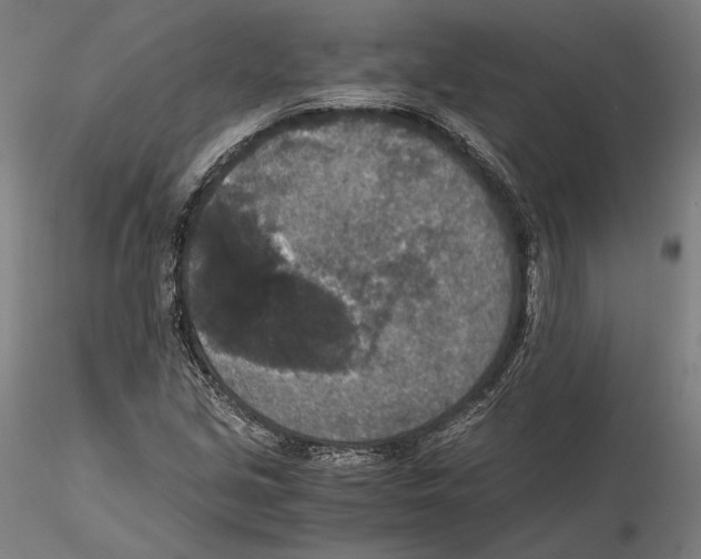 X0000115411213200912011332