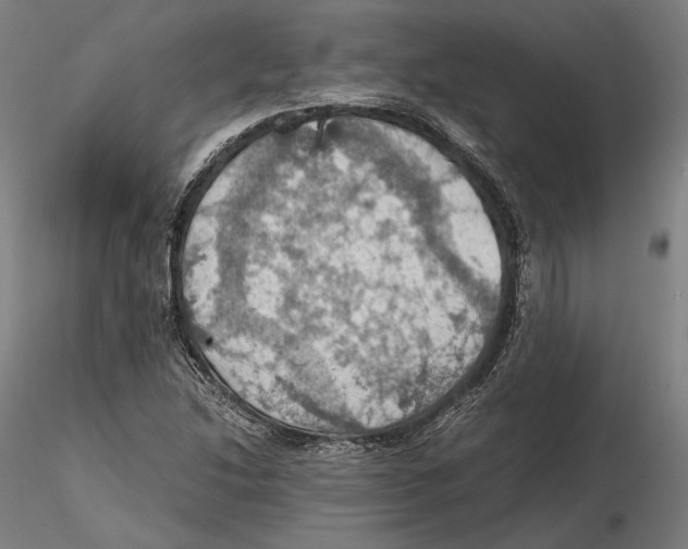 X0000115411214200912011332