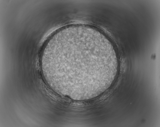 X0000115411215200912011332