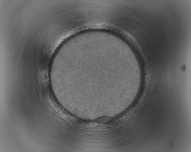 X0000115411218200912011332