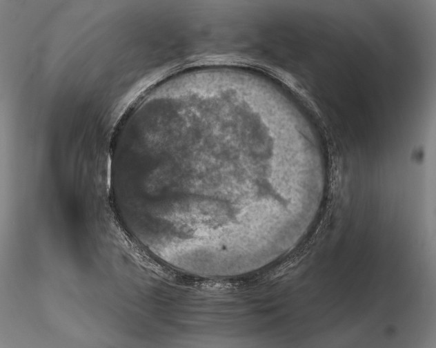 X0000115411221200912011332