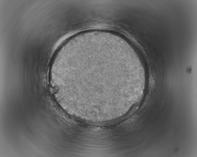 X0000115411222200912011332