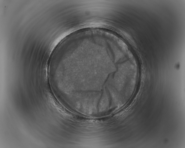 X0000115411226200912011332