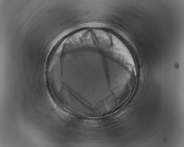 X0000115411229200912011332