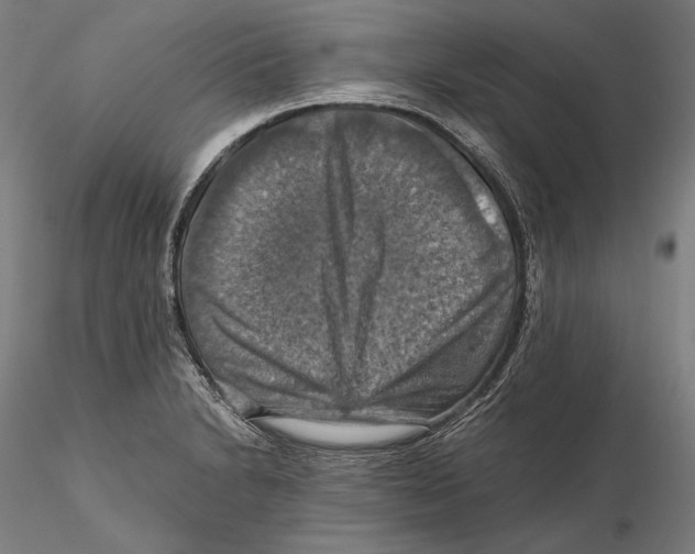 X0000115411230200912011332