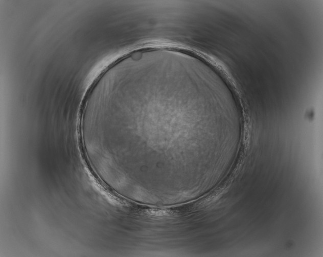 X0000115411231200912011332