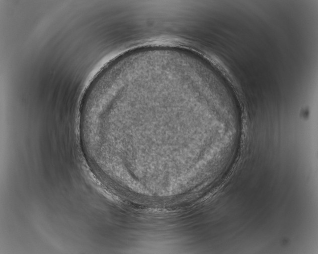 X0000115411232200912011332