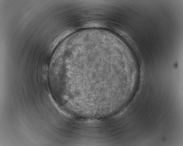 X0000115411233200912011332