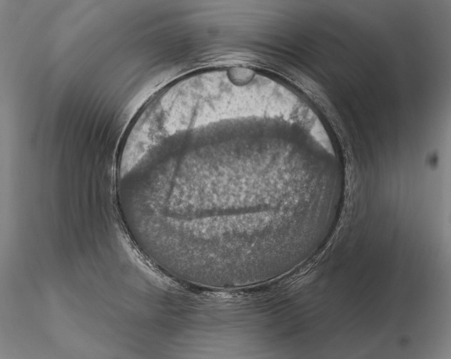 X0000115411234200912011332