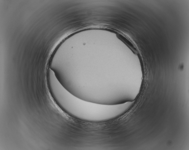 X0000115411235200912011332