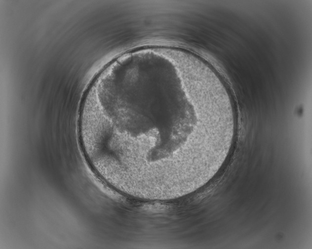 X0000115411237200912011332