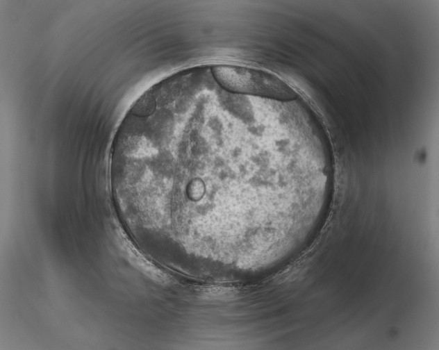 X0000115411238200912011332