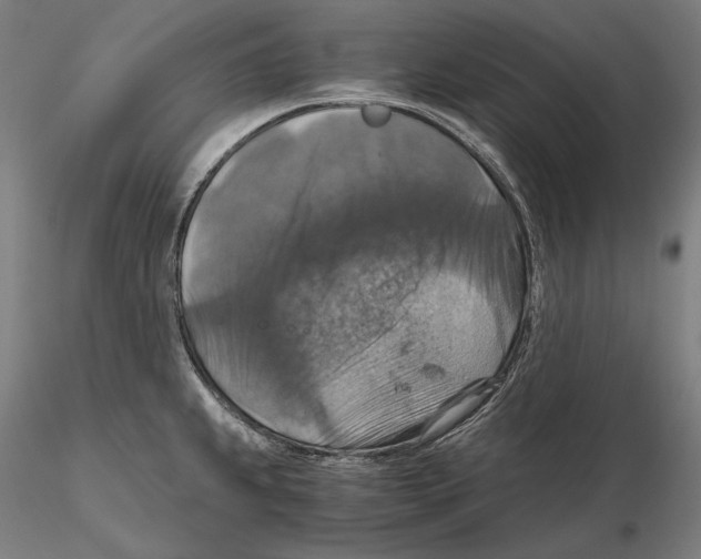 X0000115411239200912011332