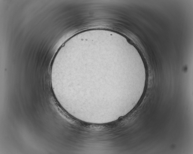 X0000115411242200912011332