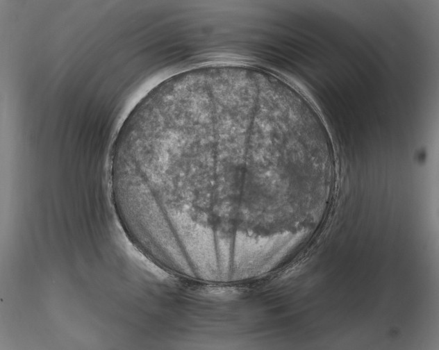 X0000115411243200912011332