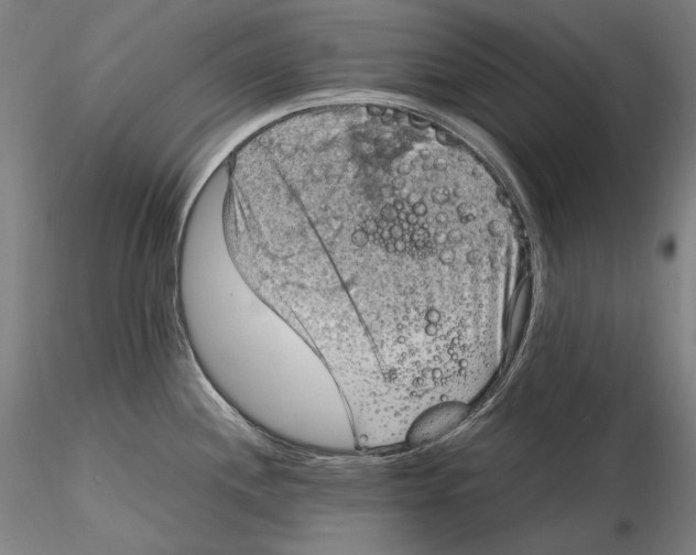 X0000115411244200912011332