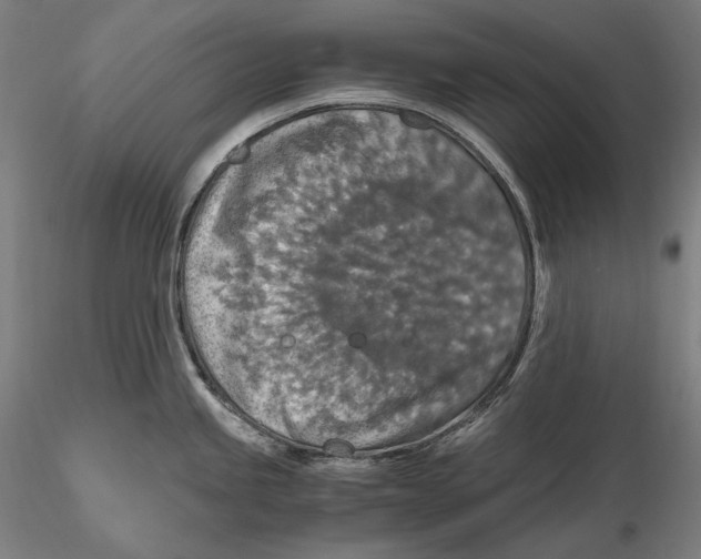 X0000115411245200912011332