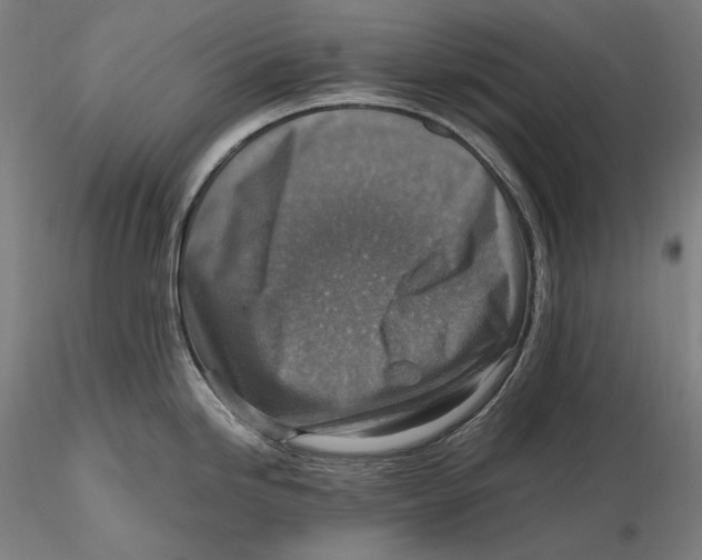 X0000115411246200912011332