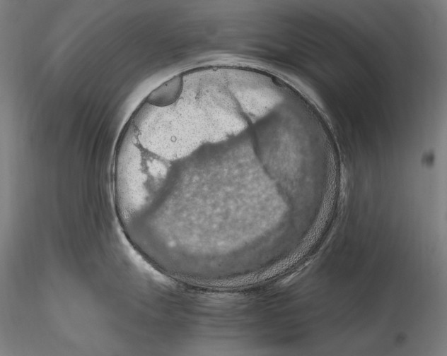 X0000115411247200912011333