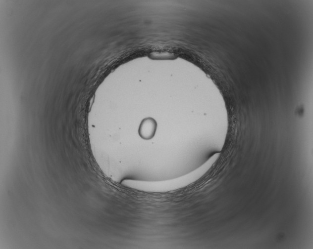 X0000115411249200912011332