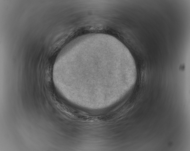 X0000115411250200912011332