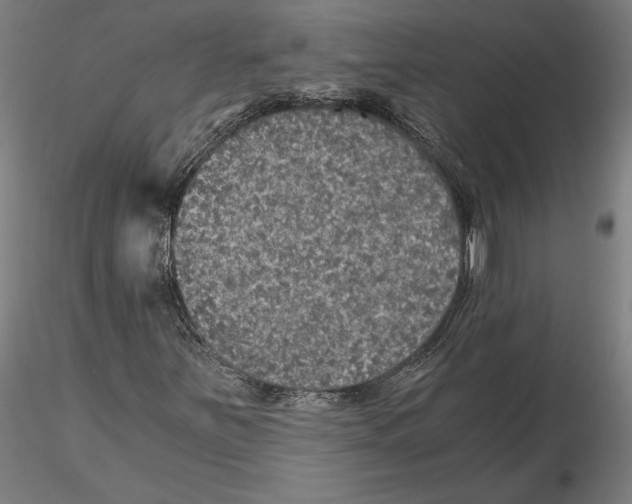 X0000115411251200912011332