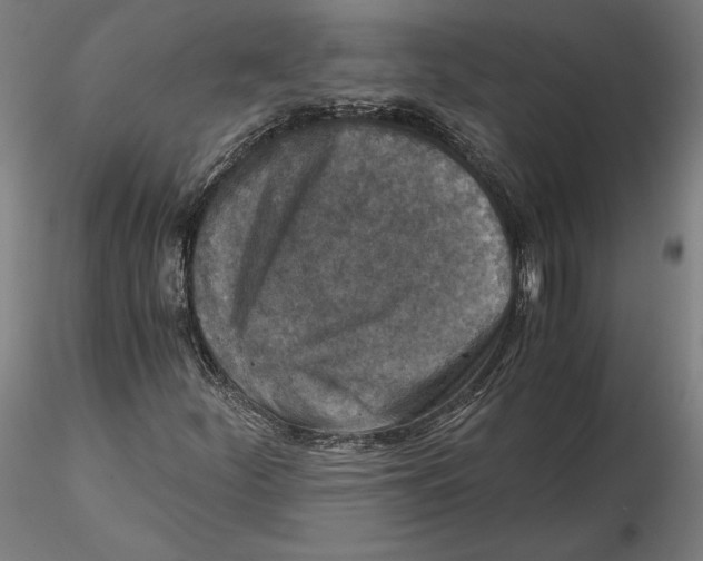 X0000115411252200912011332