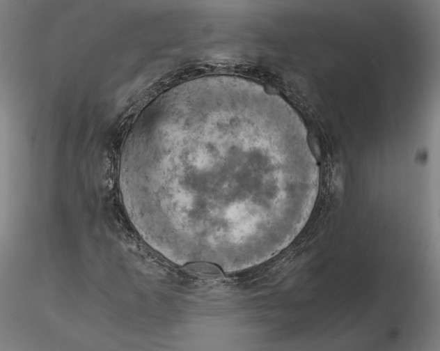 X0000115411253200912011332