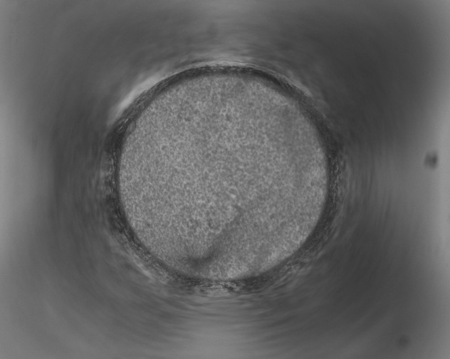 X0000115411255200912011332