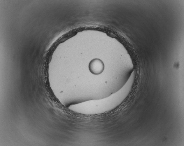 X0000115411256200912011332