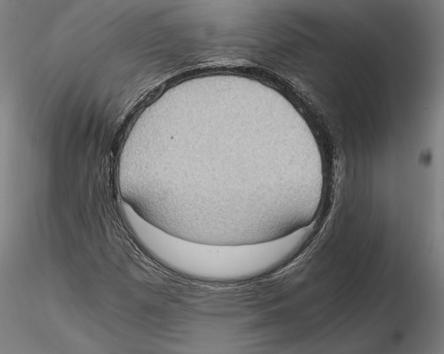 X0000115411257200912011332