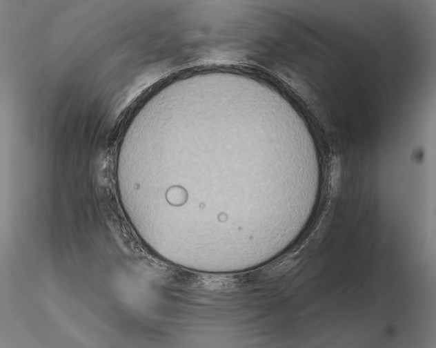 X0000115411258200912011332