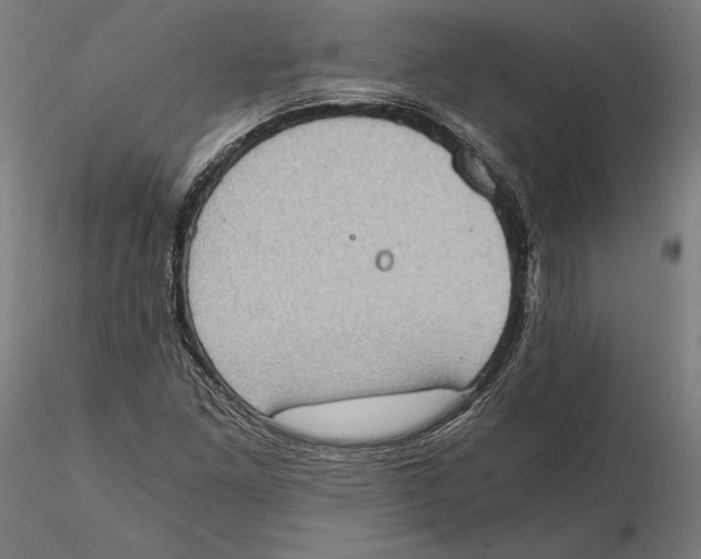 X0000115411261200912011332