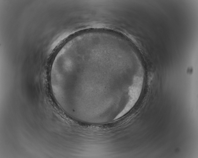 X0000115411263200912011331