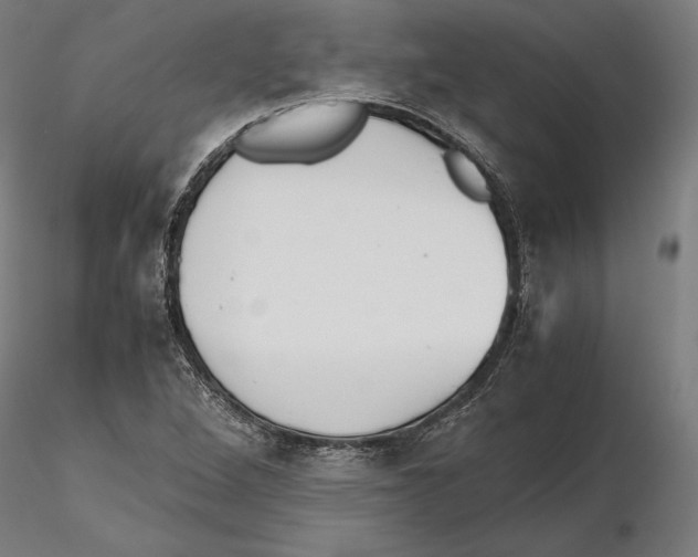 X0000115411264200912011331