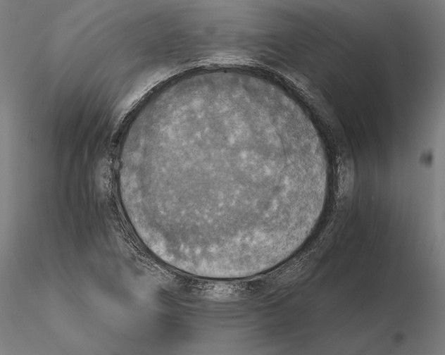 X0000115411266200912011331